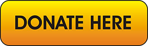 DONATE HERE