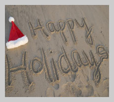 Happy Holidays!