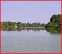 Adventure in the Gambia 