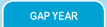 Gap year