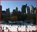 A fairytale in New York, USA