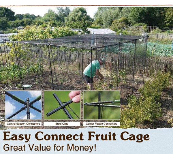 fruit & veg cage & netting protection