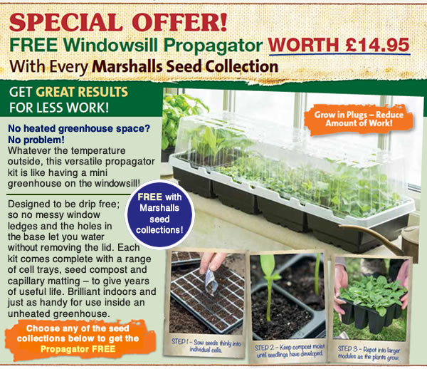 Buy Windowsill Seed Propagation Kits Marshalls Seeds