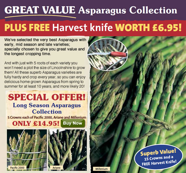 buy asparagus crowns collection Marshalls