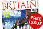 FREE Britain Magazine