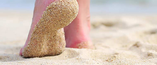 Single supplements Single supplements