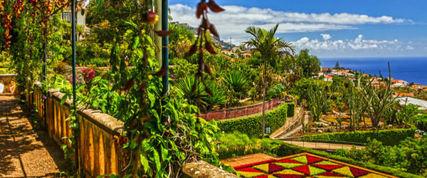 Things to do in Madeira