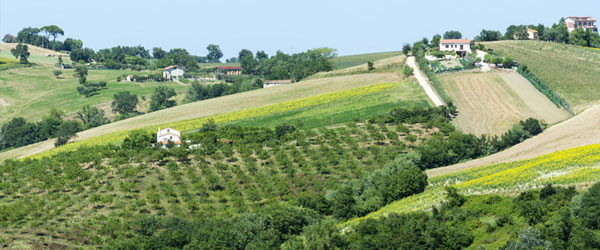 Tolentino, Le Marche, Italy